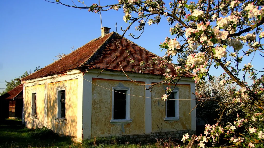 Илустрација