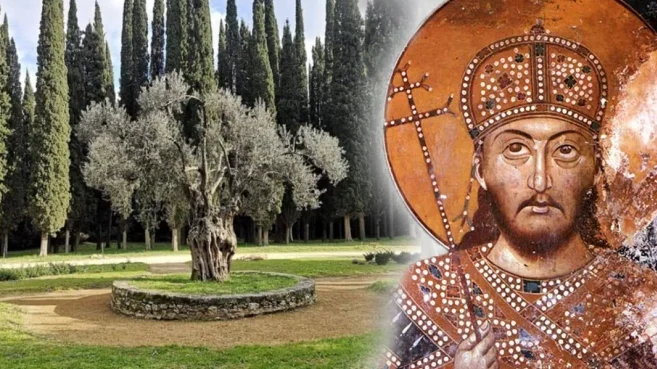 Симбол једног времена: Најстарије српско дрво посадио је цар Душан
