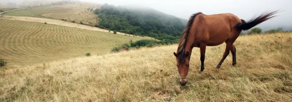 Pešterska visoravan