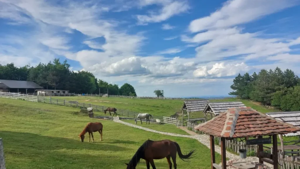 Planina Rožanj