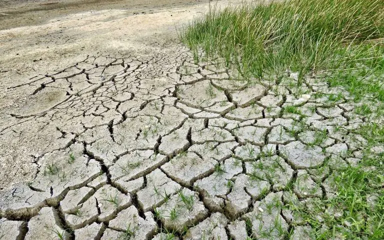 Klimatske promene