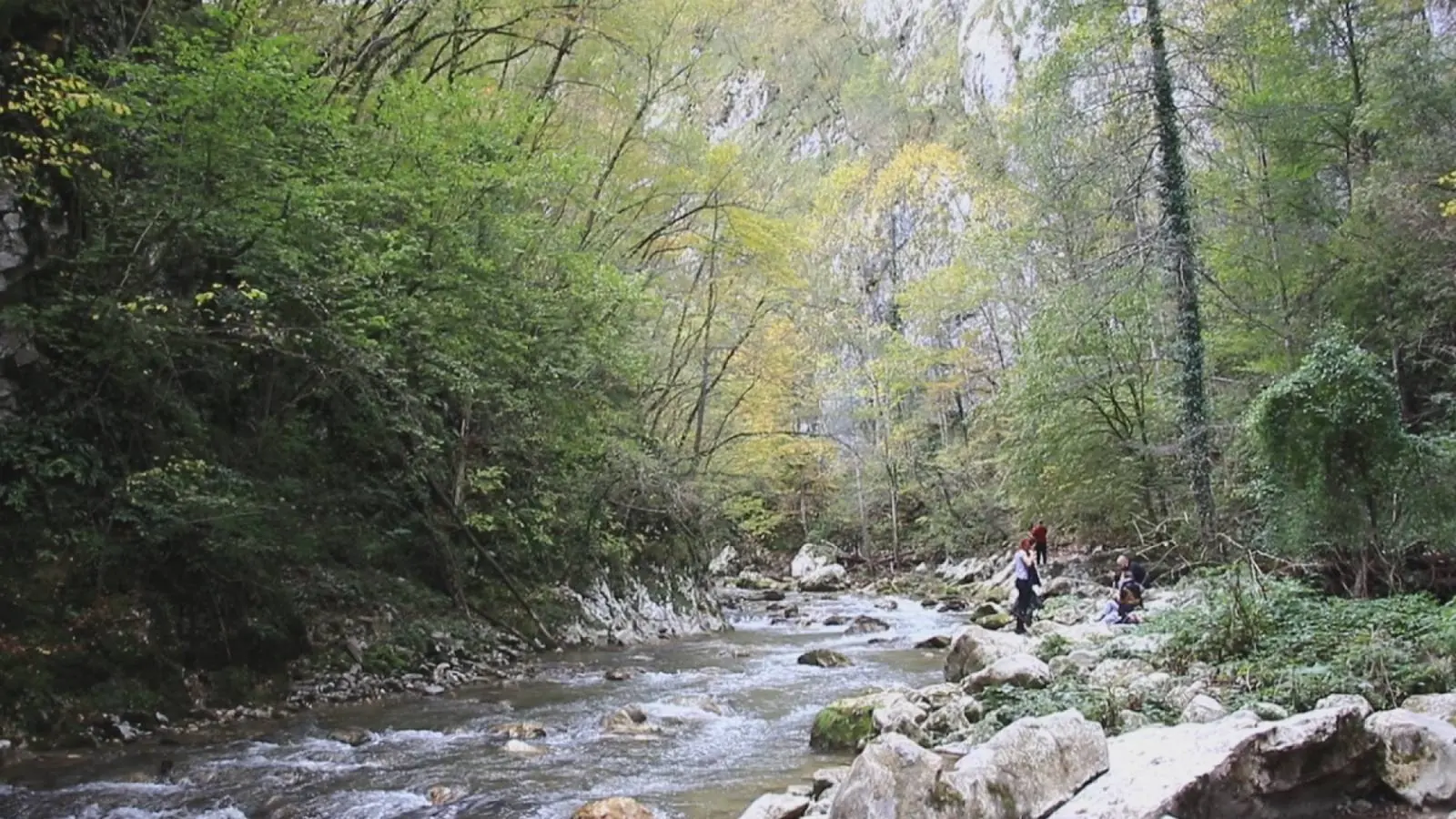 Veliki Rzav