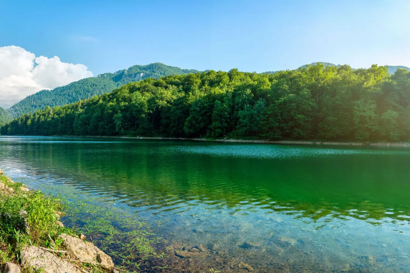 Rečni tok u donjem delu planine Komovi