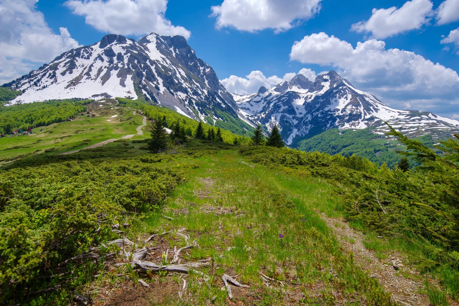 Planina Komovi