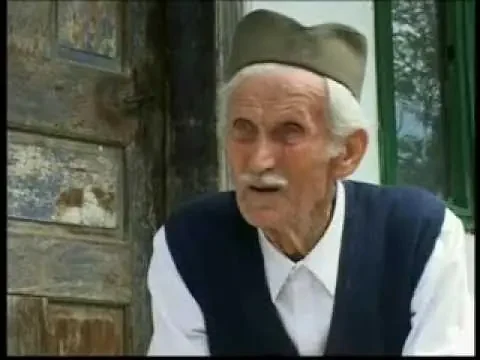 Војвода руднички Веселин Савковић