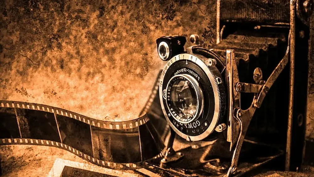 фотографи фотоапарт дворски фотографи
