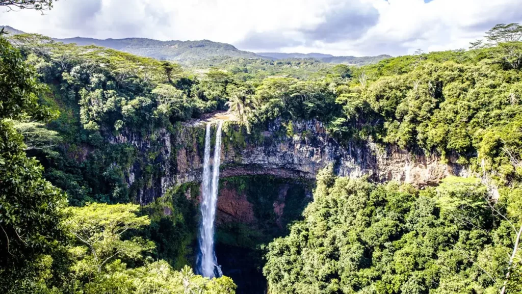 Amazonija