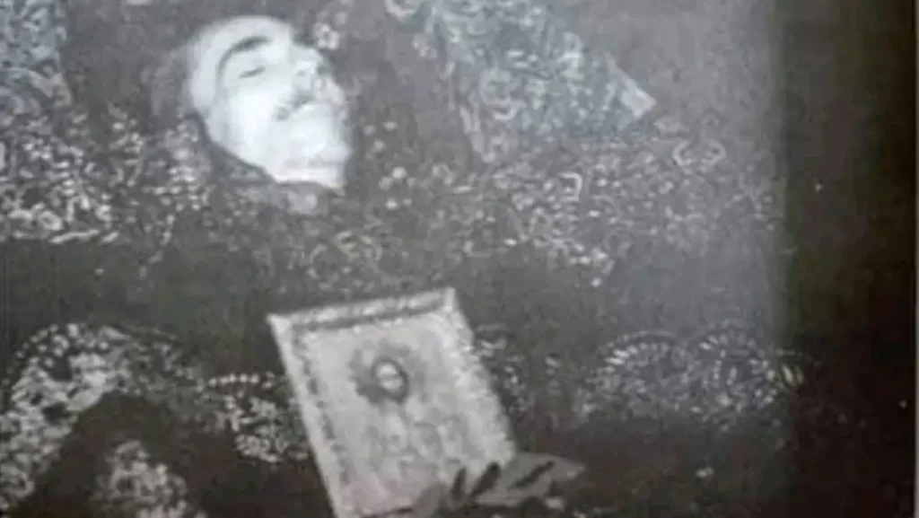 Војвода Илија Трифуновић Бирчанин