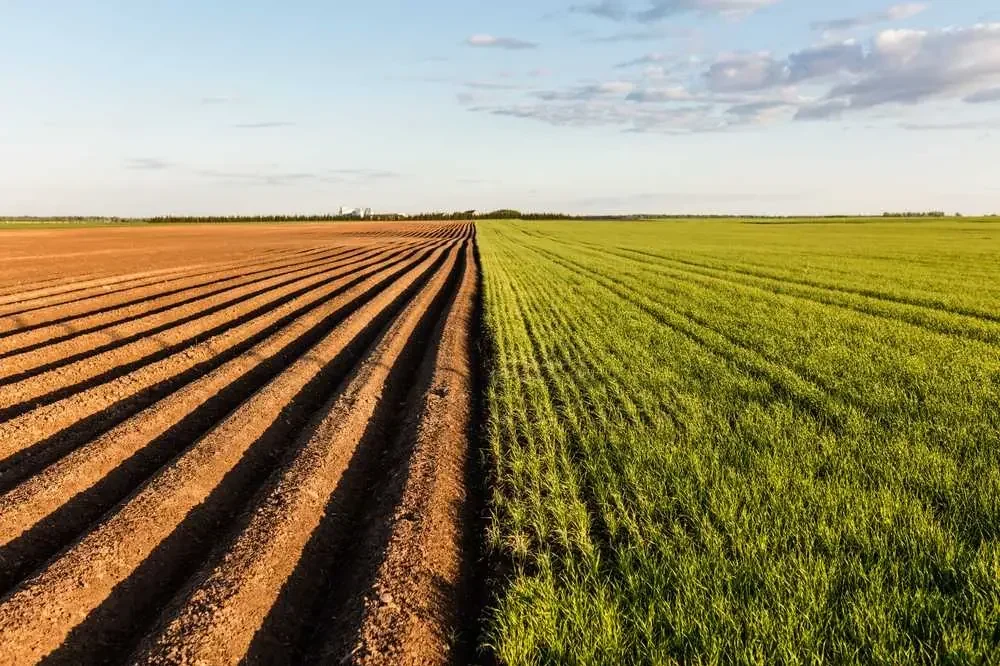 Počela javna rasprava o strategiji poljoprivrede Srbije za period 2026–2034, traje do 30. marta