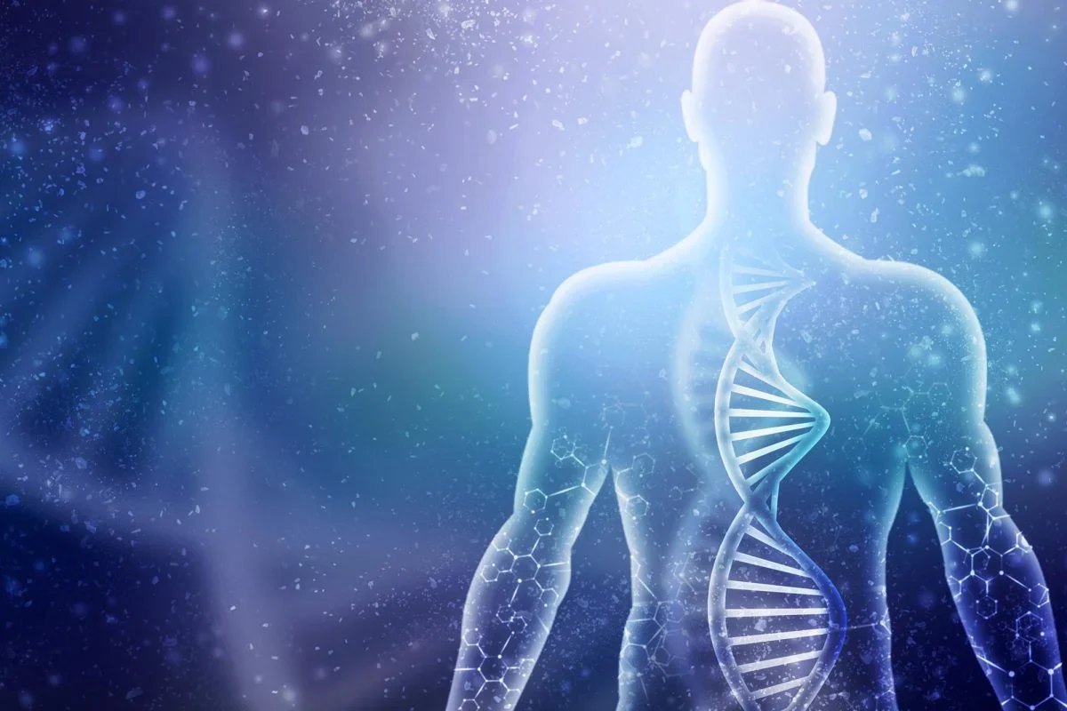 Научници открили гене који могу омогућити поновни раст удова код људи