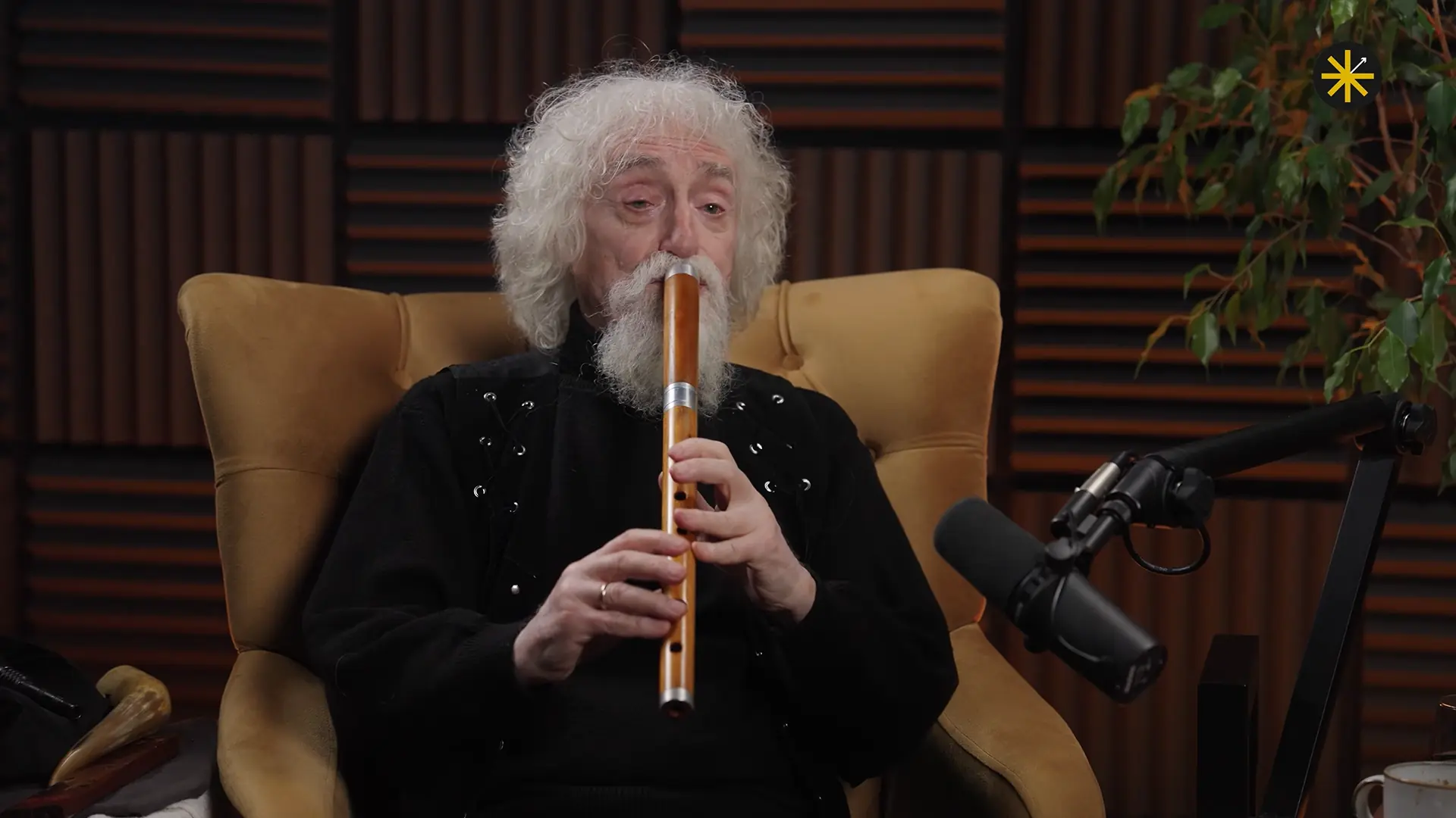 Професор Љубомир Димитријевић